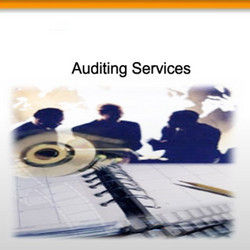 Statutory Audit Service