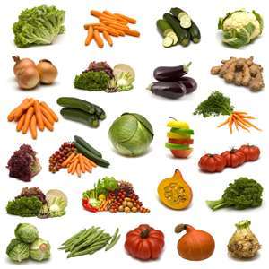 THE HORIZON Fresh Vegetables
