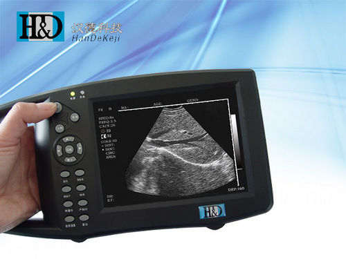 Portable Veterinary Ultrasound Scanner