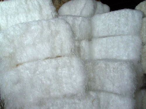 LDPE Shavings