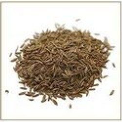 Cumin Seeds