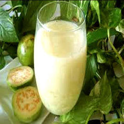 Guava Juice Nectar - High Vitamin C Content, Intense Fragrance and Distinctive Flavor