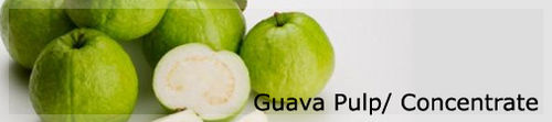 Guava Pulp Concentrate