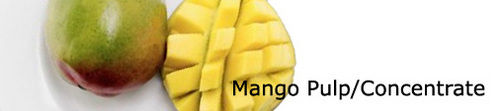 Mango Pulp Concentrate