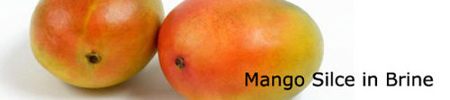 Mango Slice In Brine
