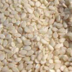 Natural White Sesame Seeds