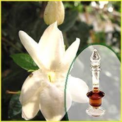 Mogra Fragrances