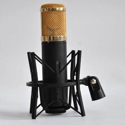 Tube Microphone