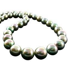 Tahitian Sea Pearl Necklace