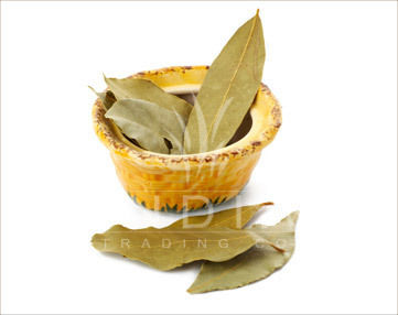 Bay Leaves