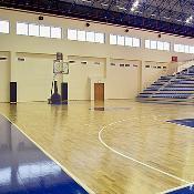 Pvc Indoor Sports Flooring