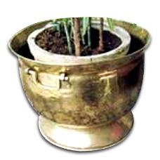 Brass Finished Designer Copper Planter