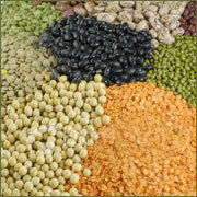 Food Pulses