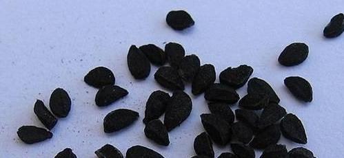 Nigella Seeds