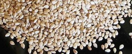 Sesame Seeds