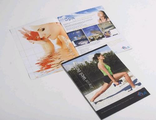 Brochure Designing Services