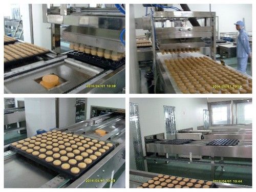 Cake Production Line