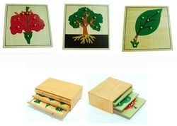 Botany Puzzles