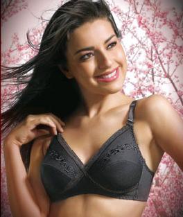 Cross Chikan Bra at best price in Ghaziabad by Sakshi Lingeries Private  Limited