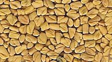 Fenugreek Seeds