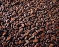 Dried Cocoa Beans