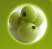 Amla Squash