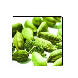 Cardamom Oil