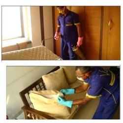 Bed Bug Paste Control Services