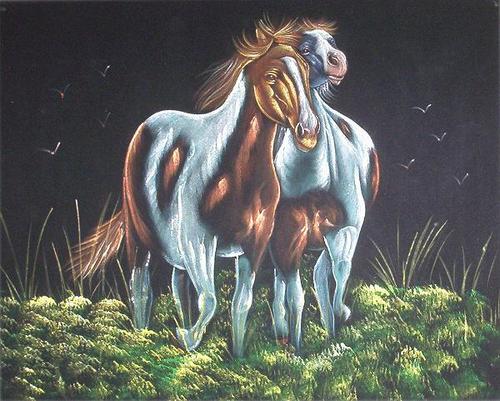 Horse Velvet Paintings