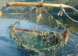Heavy Duty Fishing Nets at Best Price in Sarigam INA