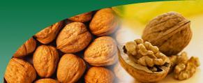 Walnut - Superior Quality, <5% Moisture, Non-GMO, No Insect Damage or Infestation, Fresh and Dust-Free