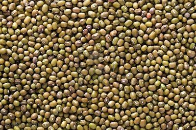 Pigeon Peas