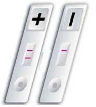 Congratulation Pregnancy Test Rapid Test
