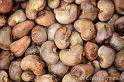 Cashew Nuts Raw Sun Dried By ASL Trade Xpert Limited