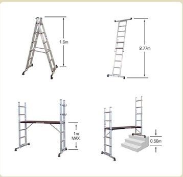 Scaffold Ladders