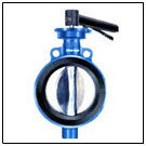 Cast Iron Butterfly Valves