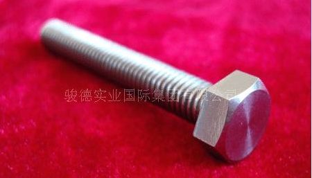 Titanium Screw