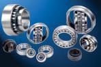 Customized Bearings