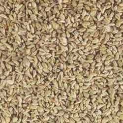 Ajwain