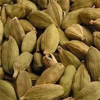 Cardamom