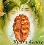 Indonesian Two Mukhi Rudraksha