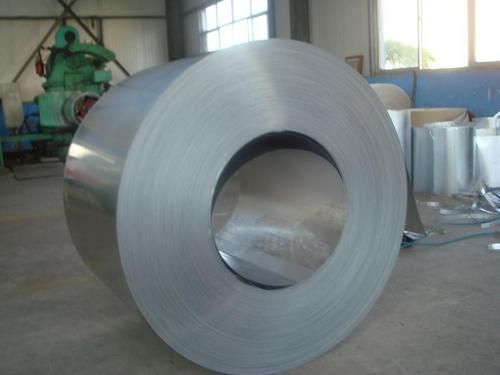 Galvanized Steel Coils