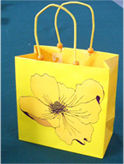 Ambica Paper Bags