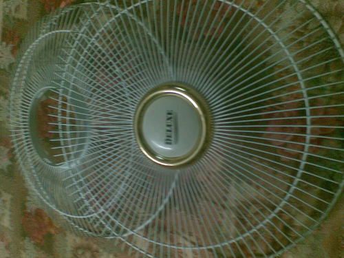 Fan Guard