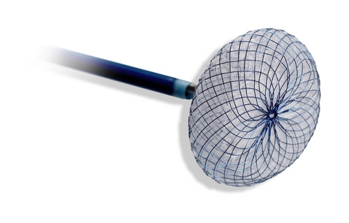 Amender ASD Occluder