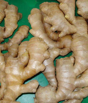 Fresh Yellow Ginger