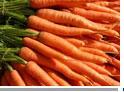 Fresh Carrots