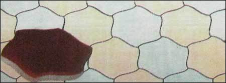 Hexagon Round Tiles