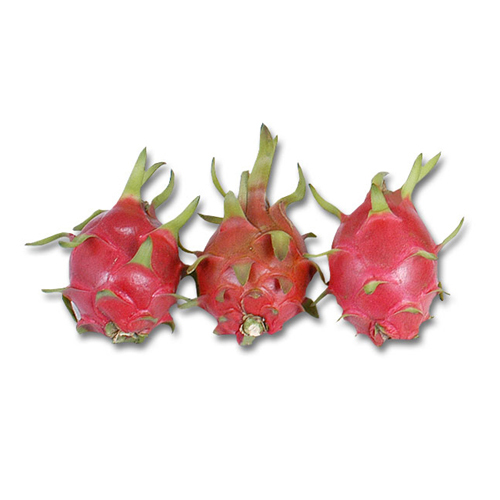Fresh Dragon Fruits