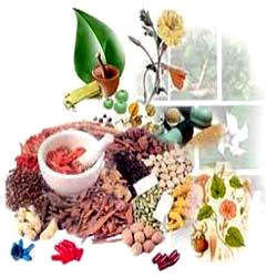 Ayurvedic Medicines